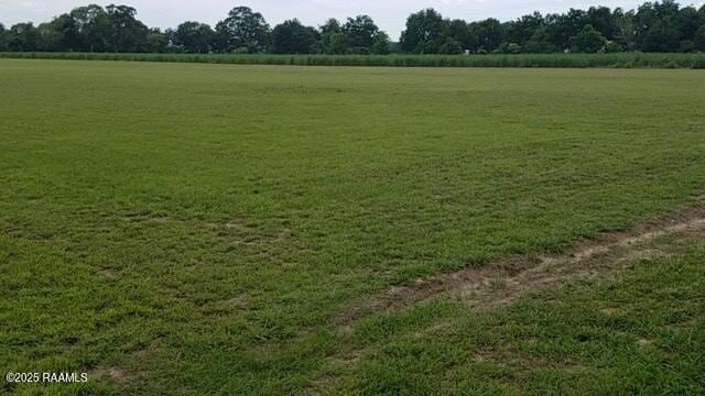 000 Lake Dauterive Rd, Loreauville, LA 70552 - photo 1