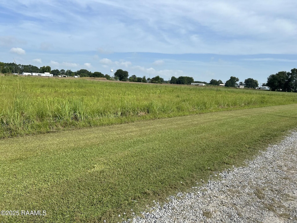 000 Lake Dauterive Rd, Loreauville, LA 70552 - photo 3