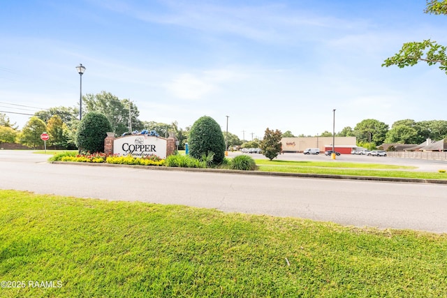 205 Captain Rick Dr, Youngsville, LA 70592 - photo 39