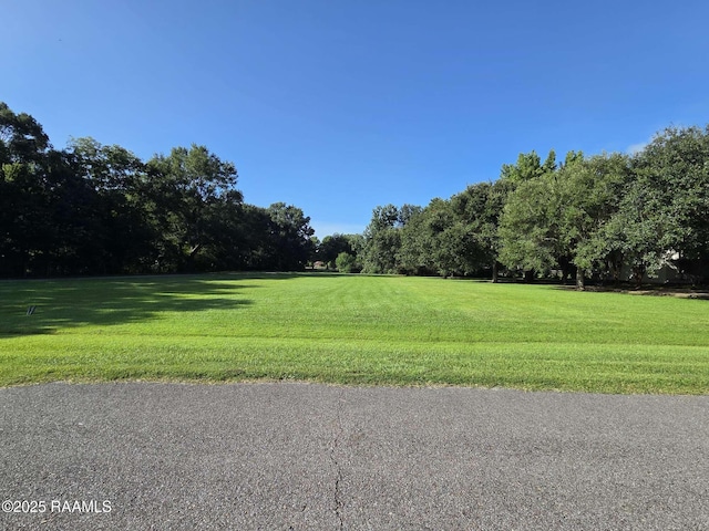 201 Oak Side Aly, Lafayette, LA 70508