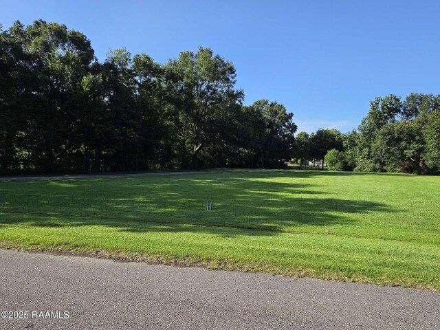 201 Oak Side Aly, Lafayette, LA 70508