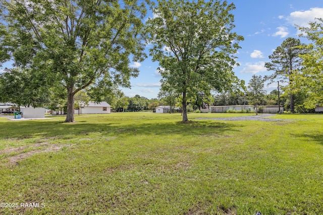 1123A Sieber Rd, Saint Martinville, LA 70582 - photo 28