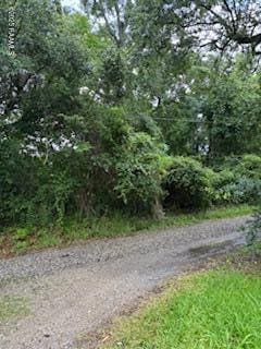 TBD Brookshire Rd, Abbeville, LA 70510 - photo 1