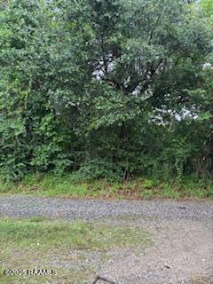 TBD Brookshire Rd, Abbeville, LA 70510 - photo 2