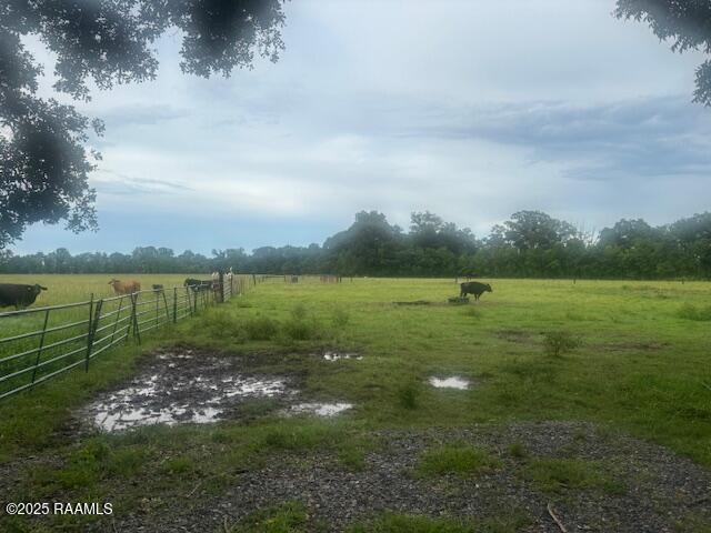 Armand Ln, Ville Platte, LA 70586 - photo 1