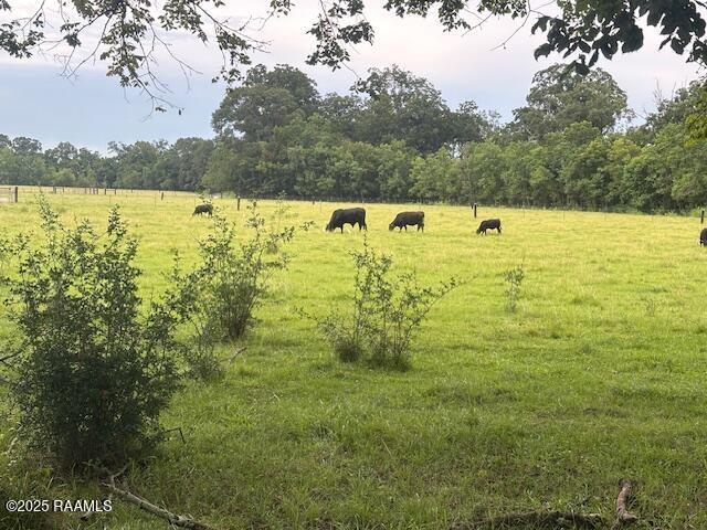 Armand Ln, Ville Platte, LA 70586 - photo 2