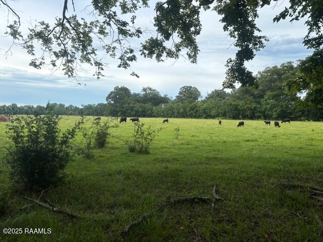 Armand Ln, Ville Platte, LA 70586 - photo 3