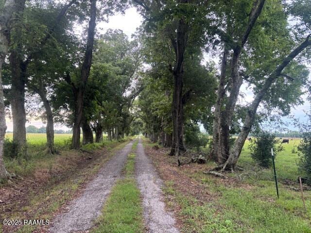 Armand Ln, Ville Platte, LA 70586 - photo 4