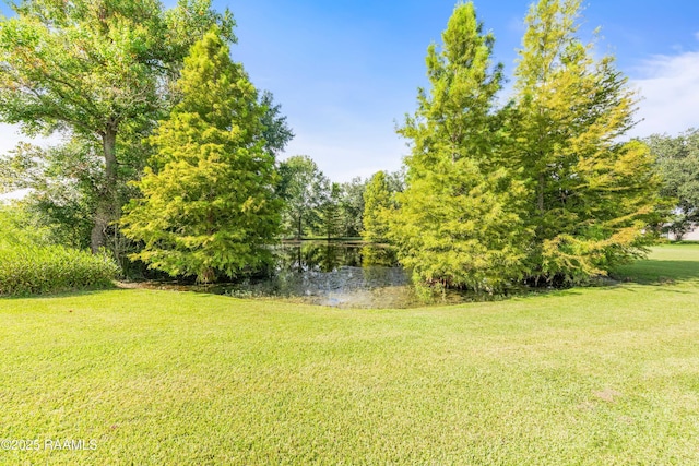 429 Hanks Rd, Duson, LA 70529 - photo 43