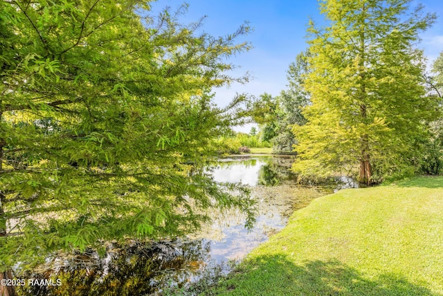429 Hanks Rd, Duson, LA 70529 - photo 45