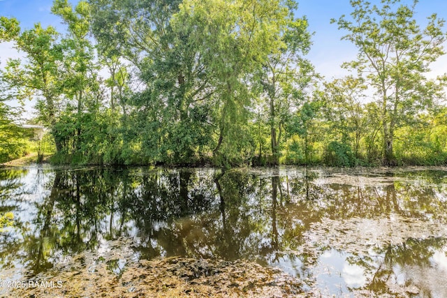 429 Hanks Rd, Duson, LA 70529 - photo 47