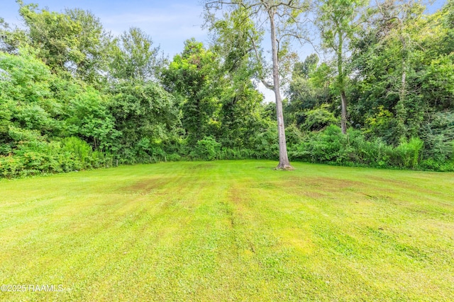 202 Anslem Dr, Youngsville, LA 70592 - photo 32
