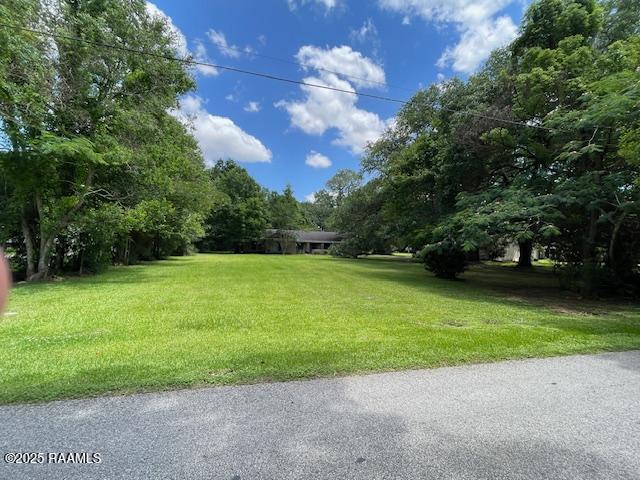 12733 Grosse Isle Rd, Abbeville, LA 70510 - photo 8