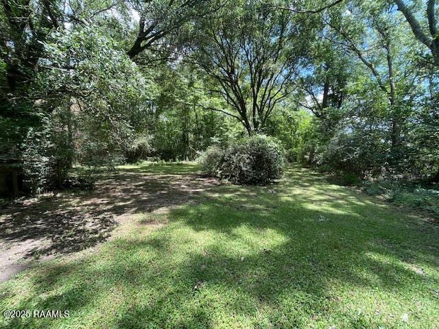 12733 Grosse Isle Rd, Abbeville, LA 70510 - photo 6