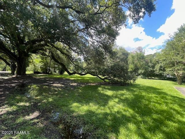 12733 Grosse Isle Rd, Abbeville, LA 70510 - photo 4
