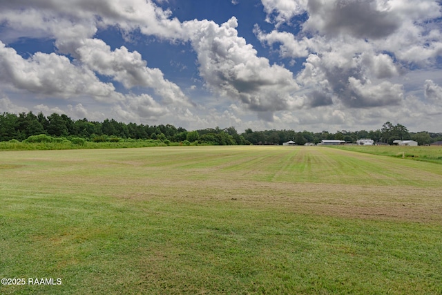 1091 Grain Elevator Rd, Arnaudville, LA 70512 - photo 34