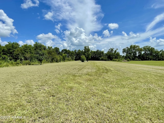 1046 Lynn Hardy Rd, Arnaudville, LA 70512 - photo 19