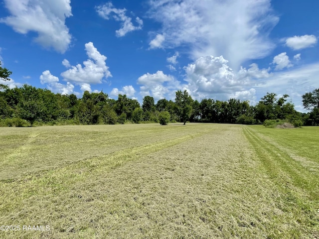 1046 Lynn Hardy Rd, Arnaudville, LA 70512 - photo 18