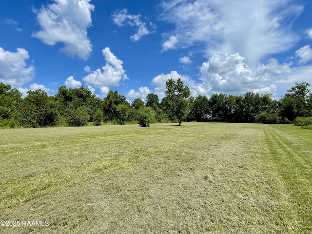 1046 Lynn Hardy Rd, Arnaudville, LA 70512 - photo 17