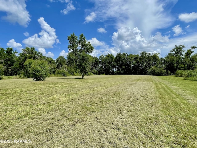 1046 Lynn Hardy Rd, Arnaudville, LA 70512 - photo 16