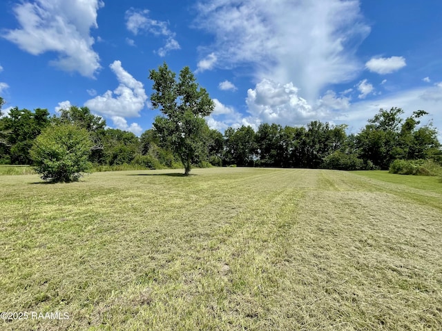 1046 Lynn Hardy Rd, Arnaudville, LA 70512 - photo 14