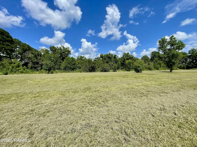 1046 Lynn Hardy Rd, Arnaudville, LA 70512 - photo 13