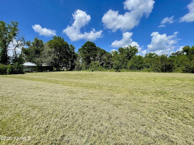1046 Lynn Hardy Rd, Arnaudville, LA 70512 - photo 11