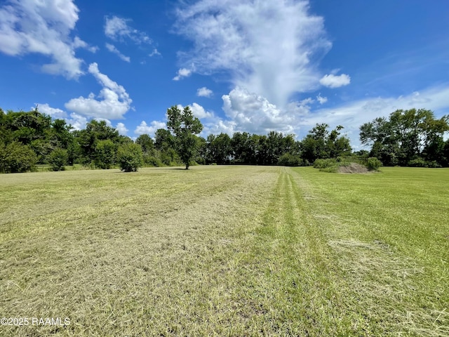 1046 Lynn Hardy Rd, Arnaudville, LA 70512 - photo 12