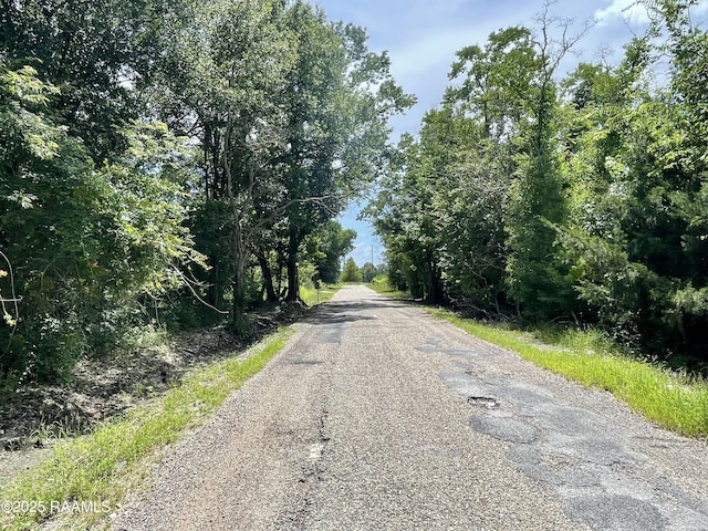 1046 Lynn Hardy Rd, Arnaudville, LA 70512 - photo 23