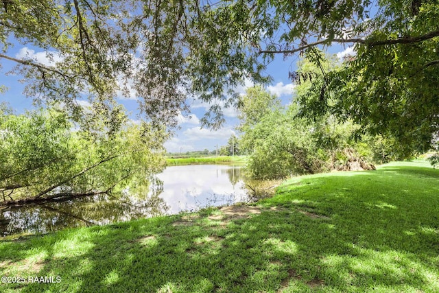 6905 Jefferson Island Rd, New Iberia, LA 70560 - photo 6