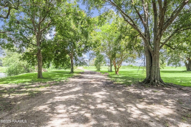 6905 Jefferson Island Rd, New Iberia, LA 70560 - photo 22