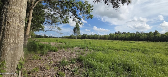 1031 Johnson Rd, Breaux Bridge, LA 70517 - photo 4