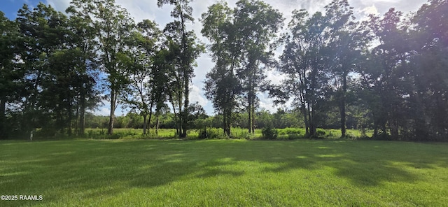 1031 Johnson Rd, Breaux Bridge, LA 70517 - photo 5