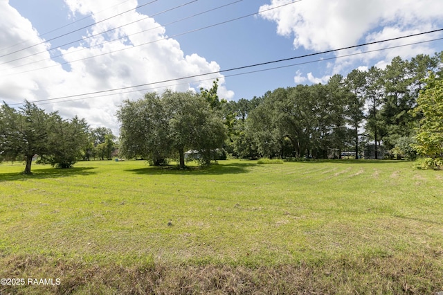1204 E Dermelie Calais Rd, Breaux Bridge, LA 70517 - photo 4