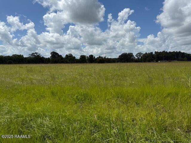 S Bullard St, Opelousas, LA 70570 - photo 1