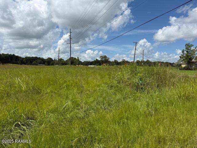 S Bullard St, Opelousas, LA 70570 - photo 2