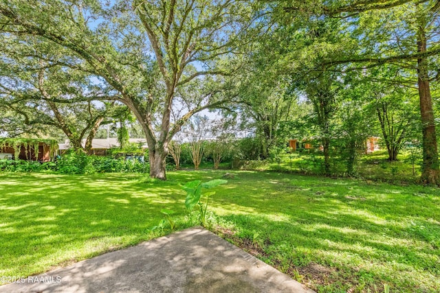 237 Aline Dr, Breaux Bridge, LA 70517 - photo 3
