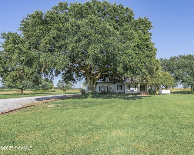 3002 George Soileau Rd, Basile, LA 70515 - photo 7