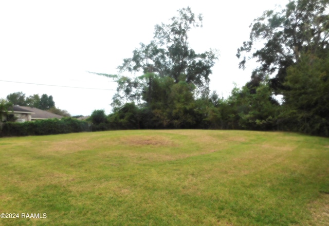 402 Attakapas Rd, Lafayette, LA 70501 - photo 3