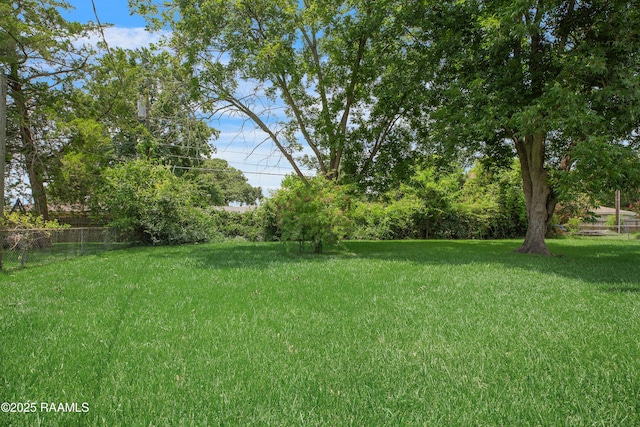 203 Felicie Dr, Lafayette, LA 70506 - photo 20