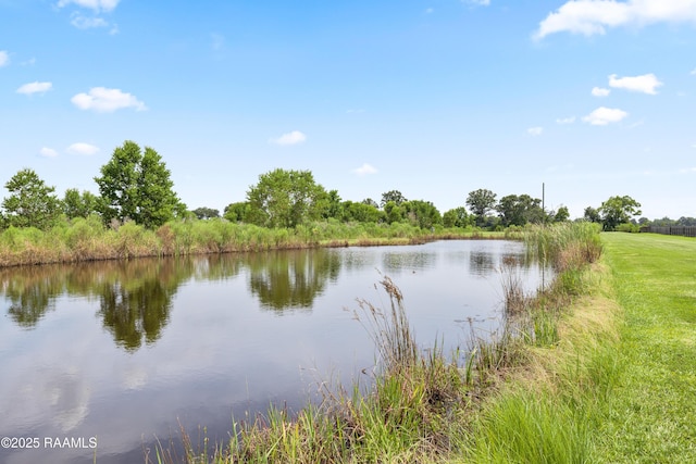 13551 La Highway 699, Maurice, LA 70555 - photo 46