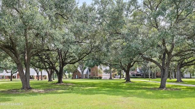 9203 E Old Spanish Trl, Jeanerette, LA 70544 - photo 41