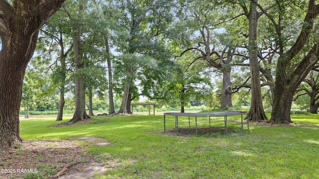 9203 E Old Spanish Trl, Jeanerette, LA 70544 - photo 38