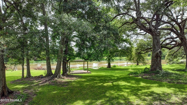9203 E Old Spanish Trl, Jeanerette, LA 70544 - photo 51