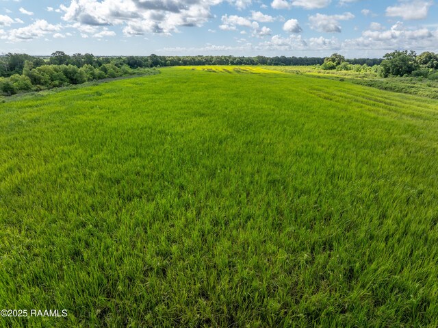 21737 Keno Rd, Abbeville, LA 70510 - photo 28