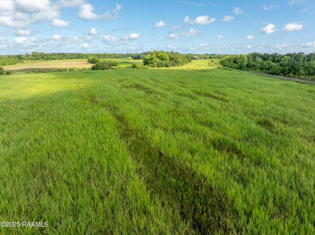 21737 Keno Rd, Abbeville, LA 70510 - photo 29