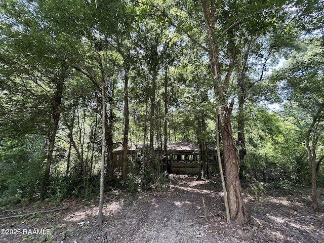 000 Old Henderson Dr, Henderson, LA 70517 - photo 7