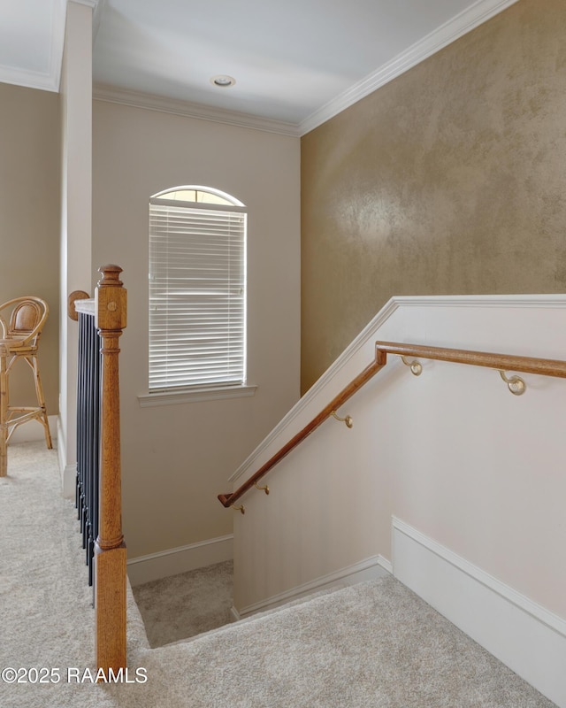 216 Ursuline St, Lafayette, LA 70506 - photo 16