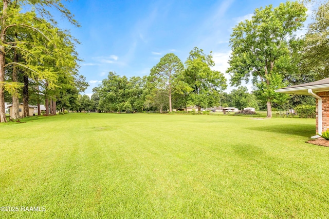 1304 S Main St, Breaux Bridge, LA 70517 - photo 7