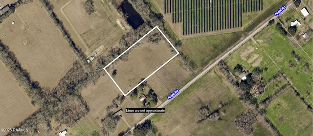 TBD Apple Rd, Opelousas, LA 70570 - photo 1